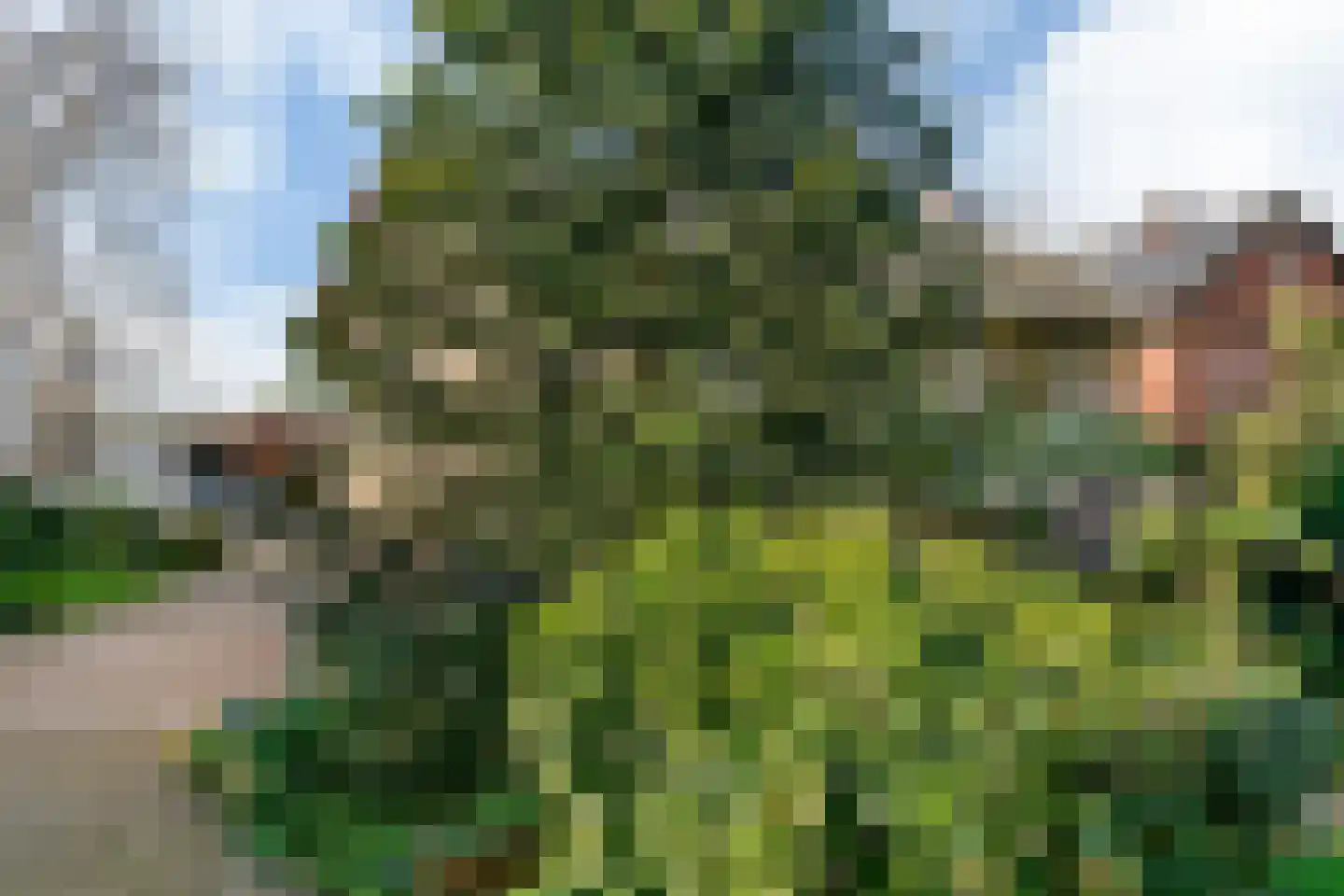 Neerbeekerstraat 61 Beek thumbnail 31