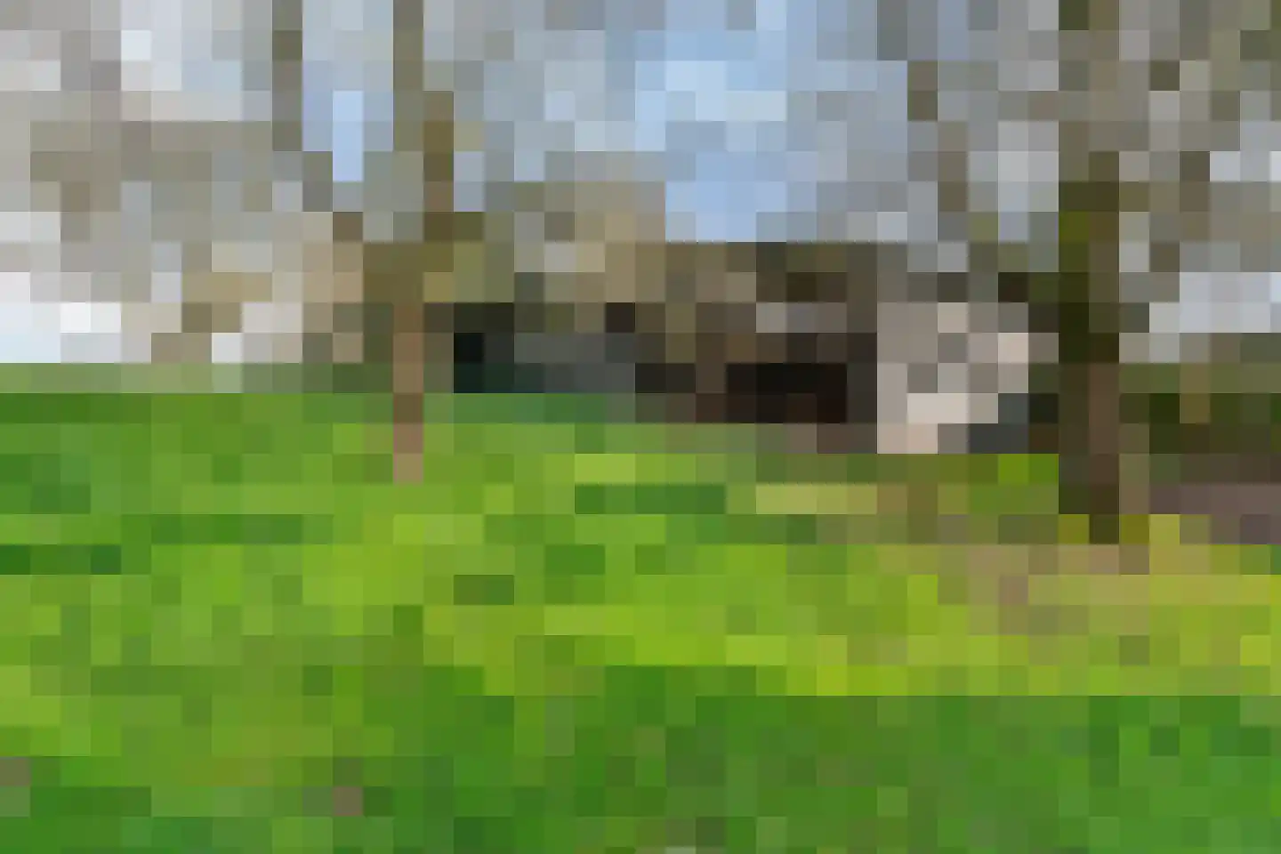 Neerbeekerstraat 61 Beek thumbnail 32