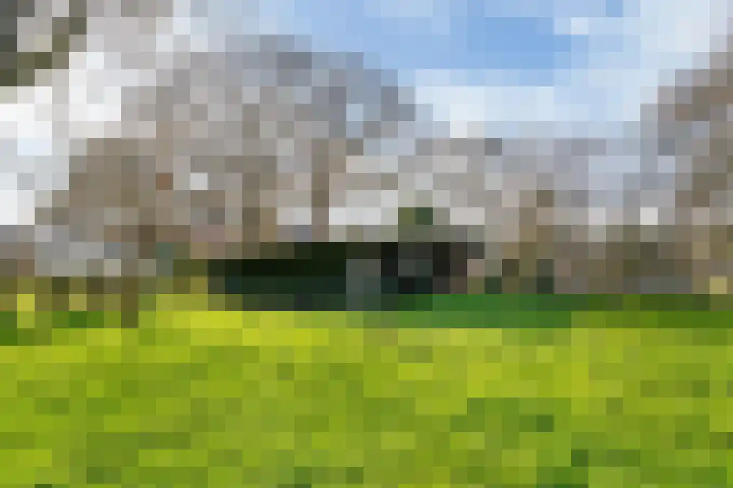 Neerbeekerstraat 61 Beek thumbnail 34