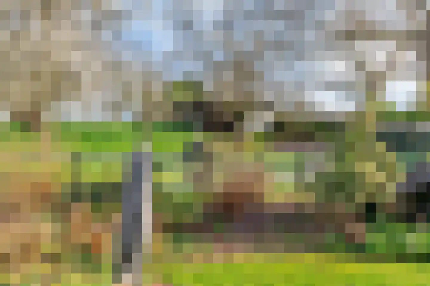 Neerbeekerstraat 61 Beek thumbnail 35