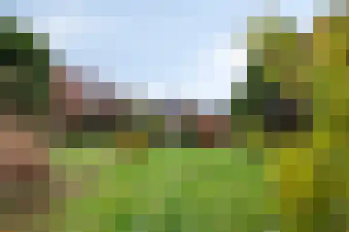Neerbeekerstraat 67 Beek thumbnail 40