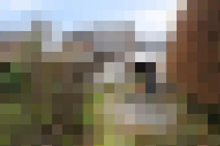 Neerbeekerstraat 67 Beek thumbnail 41