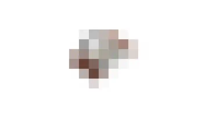 Neerbeekerstraat 67 Beek thumbnail 56