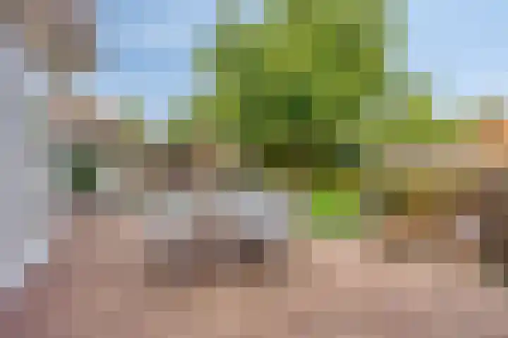 Neerbraak 42 Landgraaf thumbnail 22