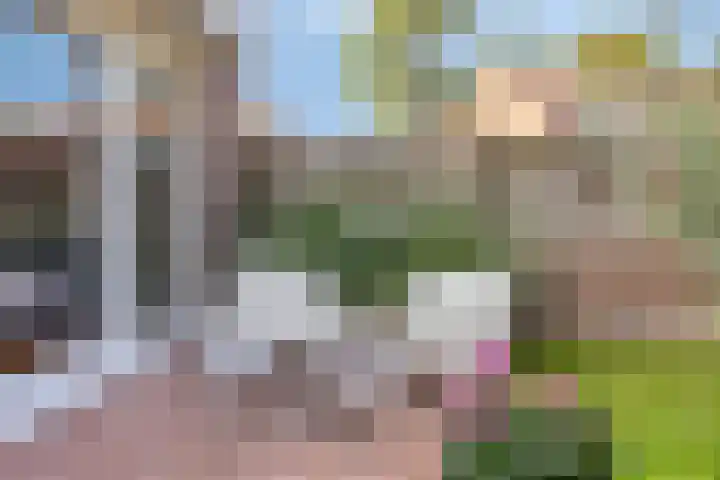 Neerbraak 42 Landgraaf thumbnail 23