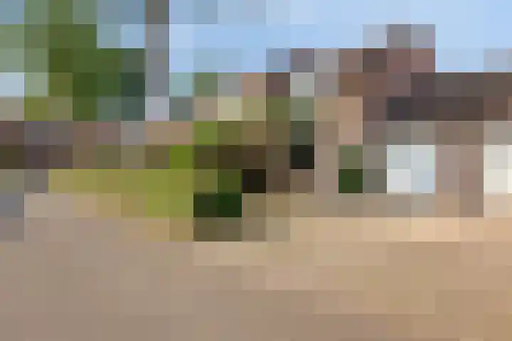 Neerbraak 42 Landgraaf thumbnail 26