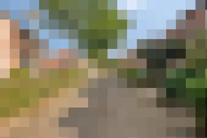 Neerbraak 42 Landgraaf thumbnail 27