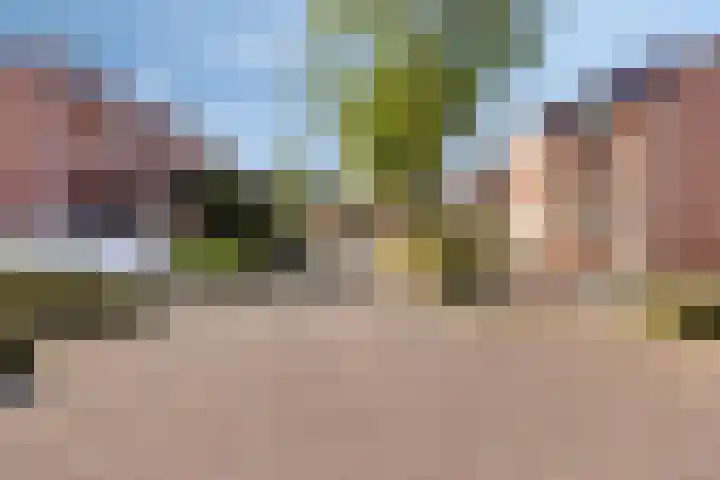 Neerbraak 42 Landgraaf thumbnail 29