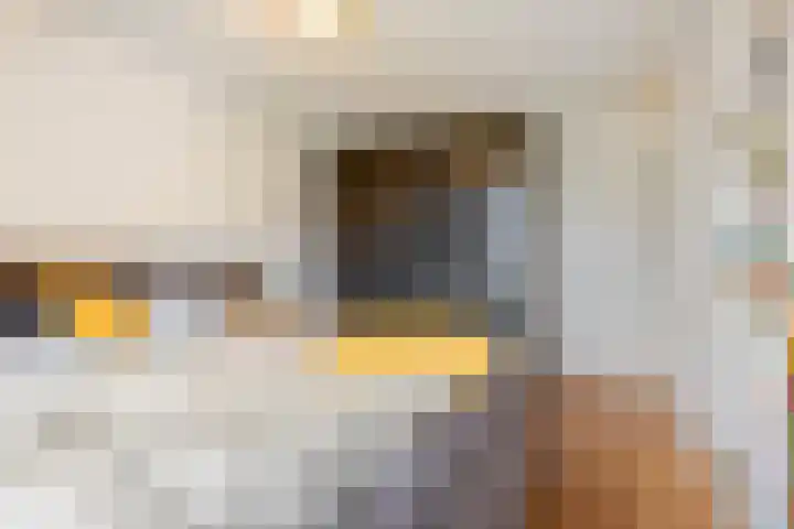 Neercanne 12 's-Hertogenbosch thumbnail 18