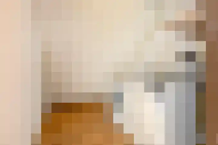 Neercanne 12 's-Hertogenbosch thumbnail 23
