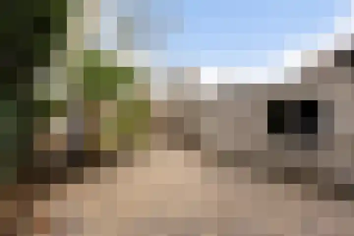 Neercanne 12 's-Hertogenbosch thumbnail 27