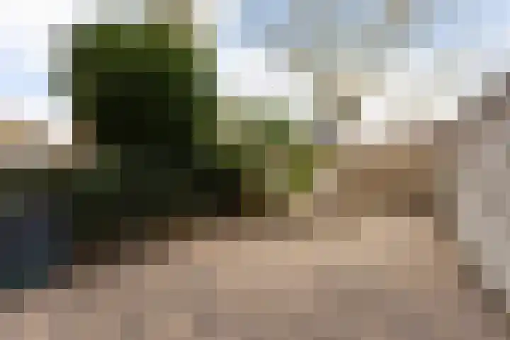 Neercanne 12 's-Hertogenbosch thumbnail 28