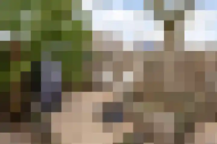Neercanne 12 's-Hertogenbosch thumbnail 29