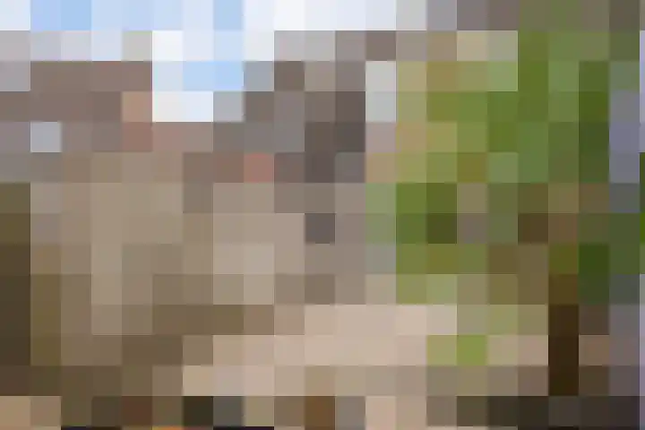 Neercanne 12 's-Hertogenbosch thumbnail 30