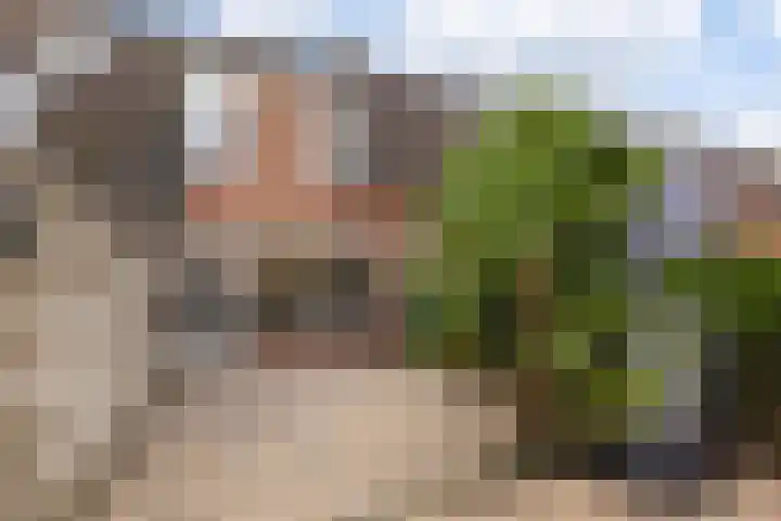 Neercanne 12 's-Hertogenbosch thumbnail 31