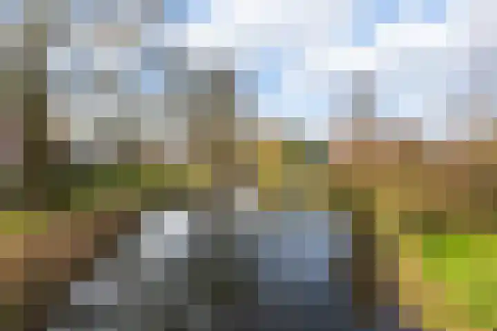 Neercanne 12 's-Hertogenbosch thumbnail 33