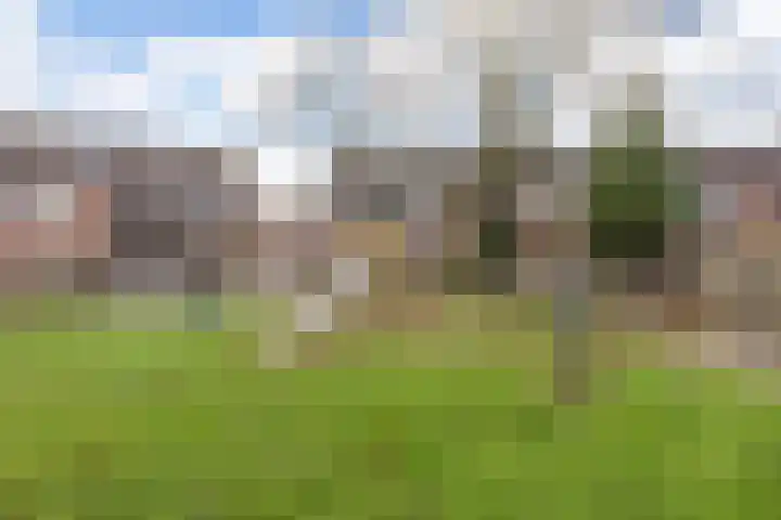 Neercanne 12 's-Hertogenbosch thumbnail 34