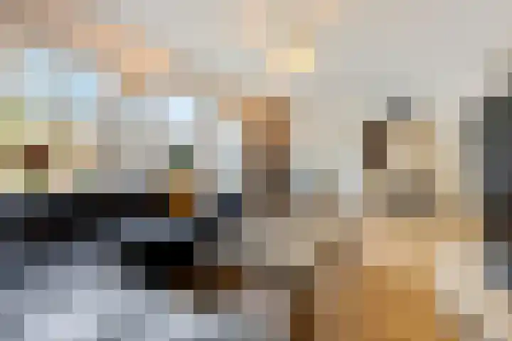 Neercanne 12 's-Hertogenbosch thumbnail 9
