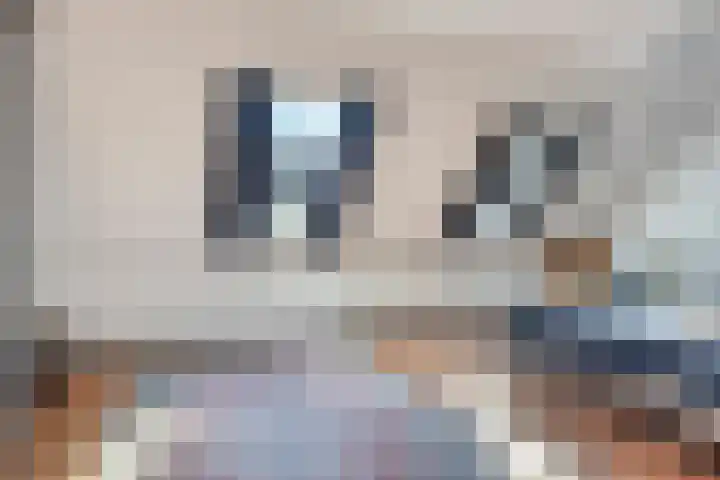 Neercanne 4 's-Hertogenbosch thumbnail 12