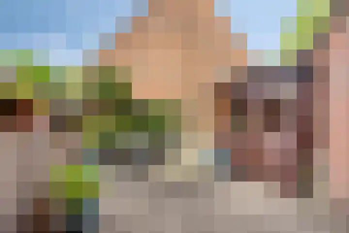 Neercanne 4 's-Hertogenbosch thumbnail 20