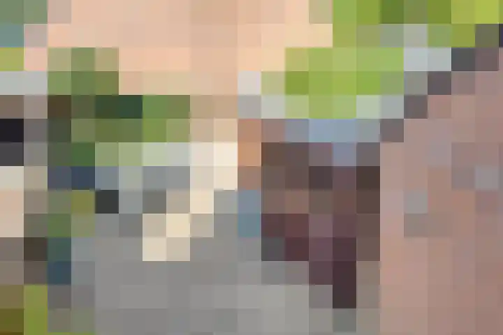Neercanne 4 's-Hertogenbosch thumbnail 21