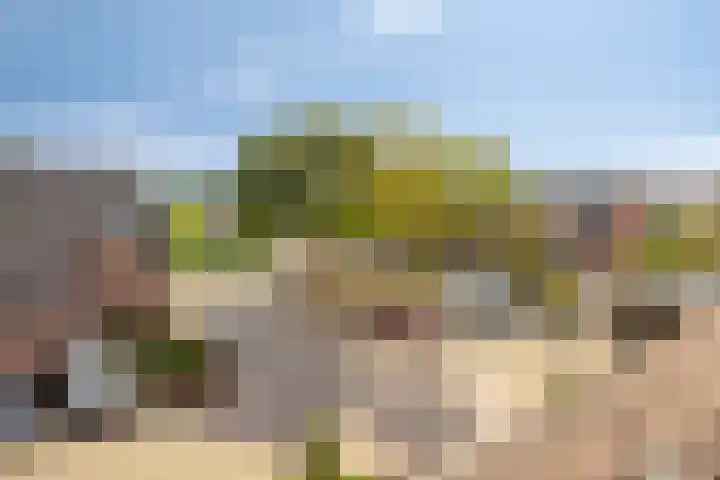 Neercanne 4 's-Hertogenbosch thumbnail 28