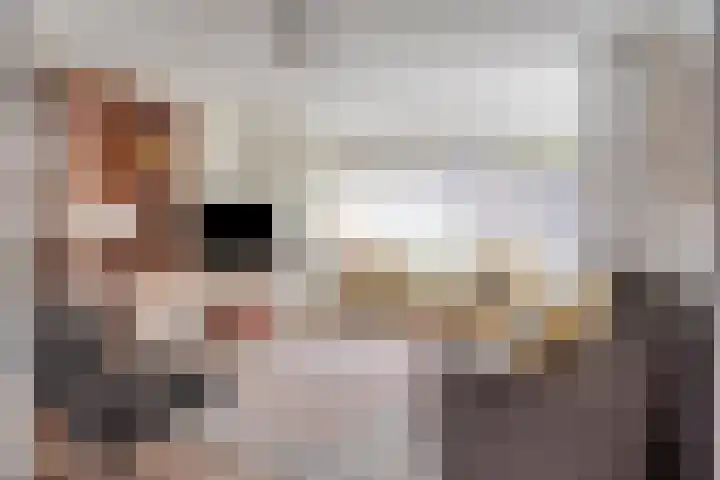 Neercanne 4 's-Hertogenbosch thumbnail 6