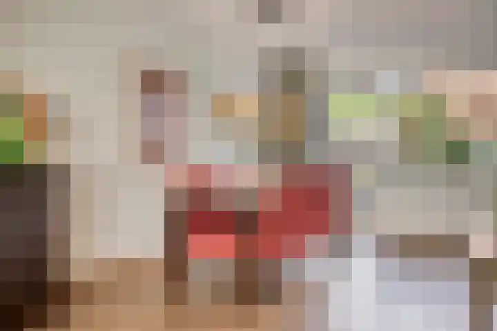 Neercanne 4 's-Hertogenbosch thumbnail 7