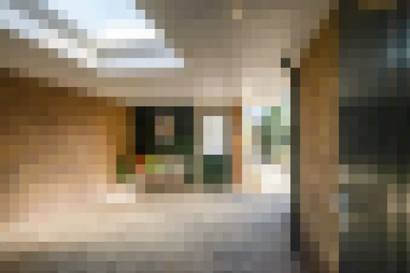 Neercasselstraat 18 Losser thumbnail 32