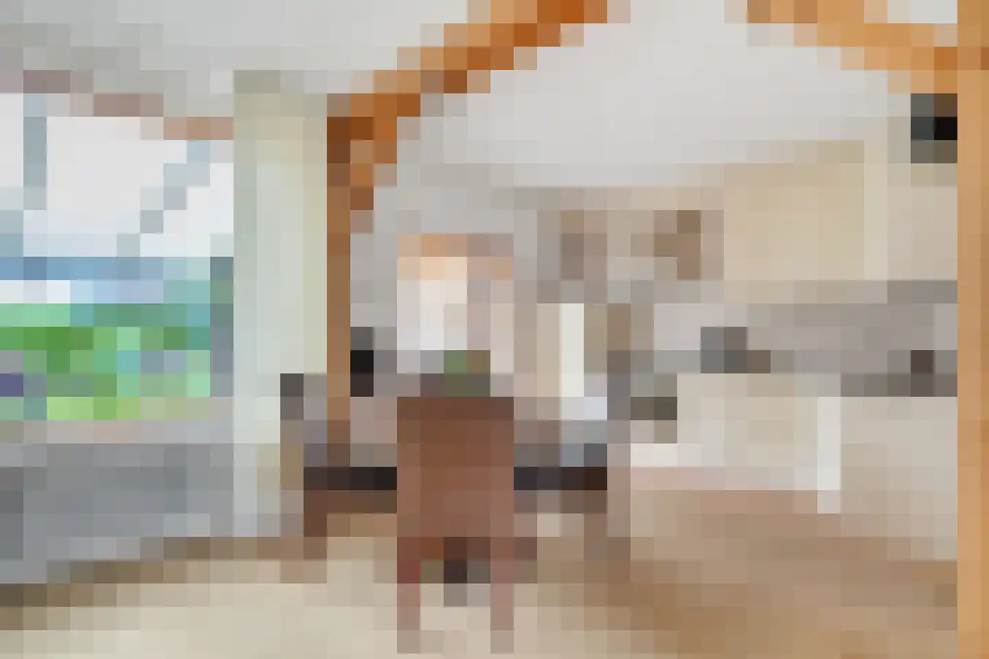 Neercasselstraat 56 Losser thumbnail 14