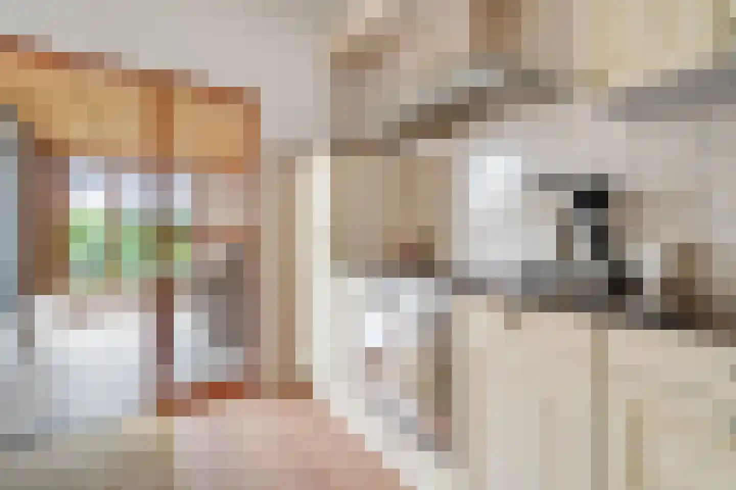 Neercasselstraat 56 Losser thumbnail 18