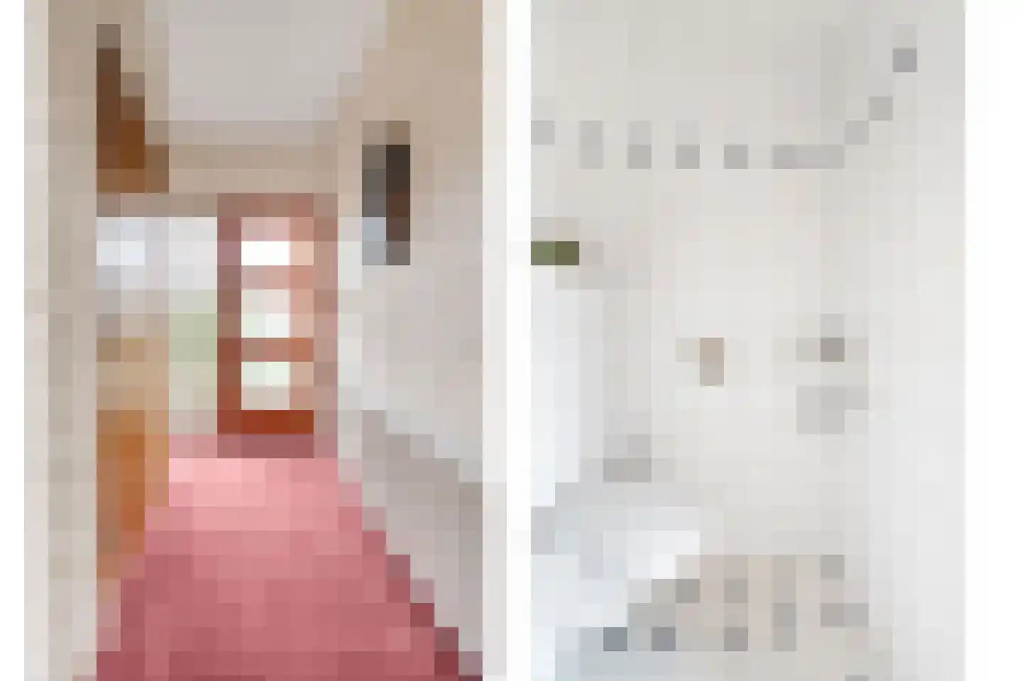 Neercasselstraat 56 Losser thumbnail 22