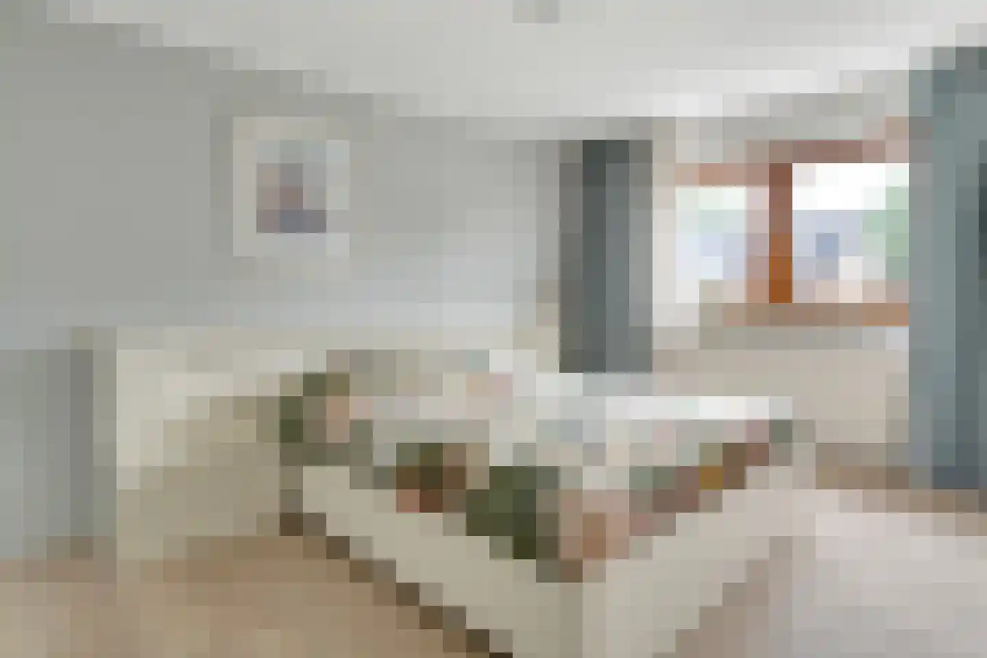 Neercasselstraat 56 Losser thumbnail 24