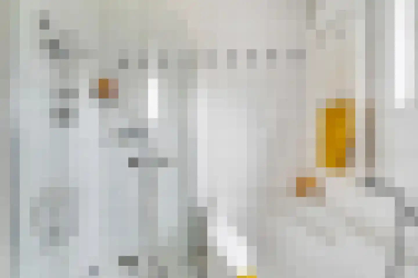 Neercasselstraat 56 Losser thumbnail 29