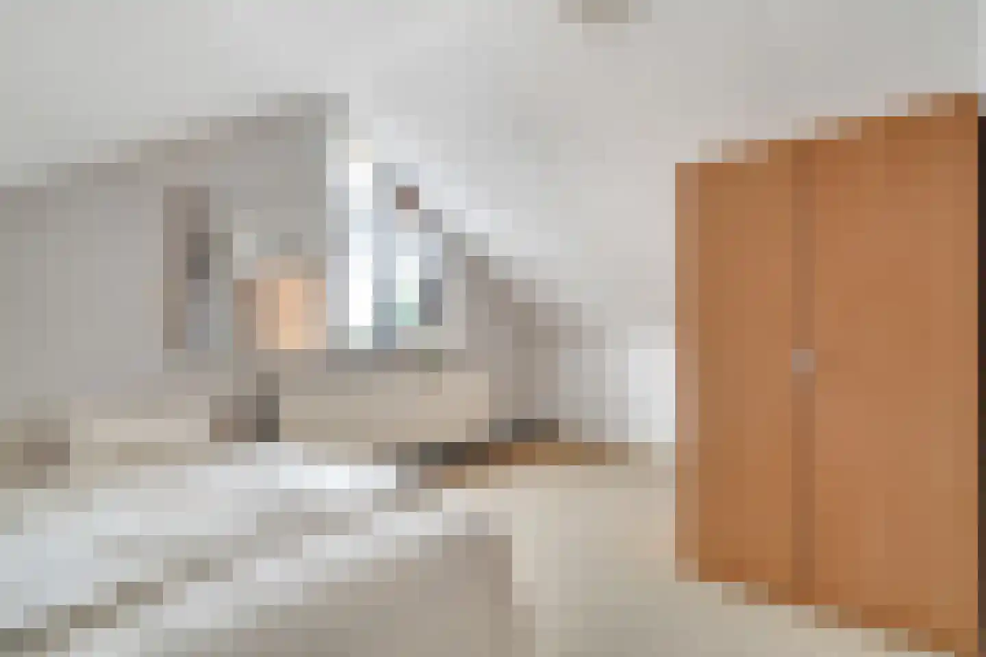 Neercasselstraat 56 Losser thumbnail 35