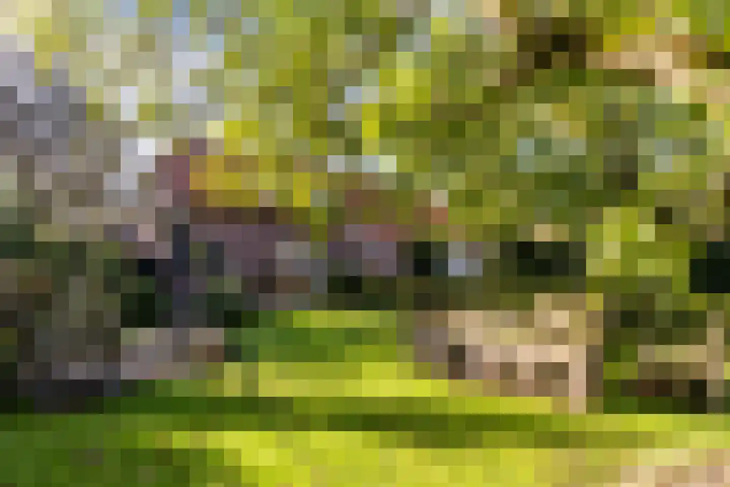 Neereindseweg 13 Oost West en Middelbeers thumbnail 37