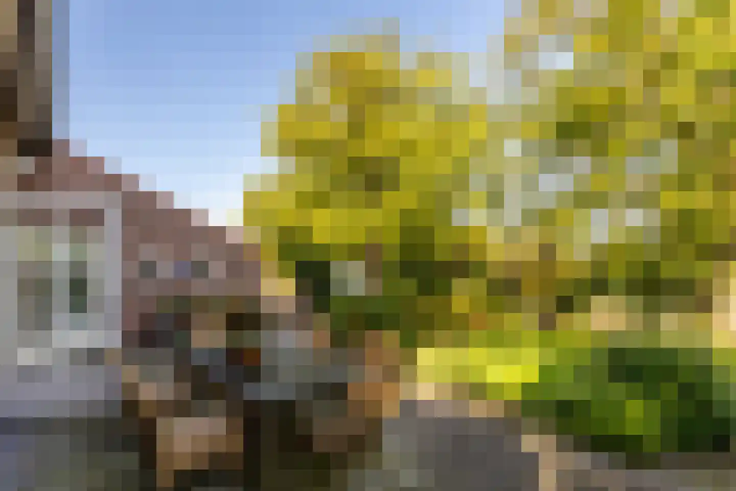 Neereindseweg 13 Oost West en Middelbeers thumbnail 40
