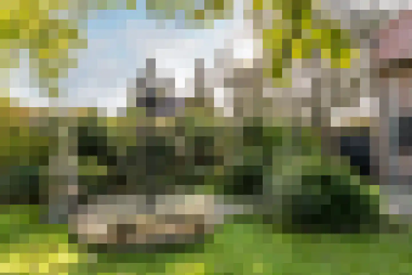 Neereindseweg 13 Oost West en Middelbeers thumbnail 41