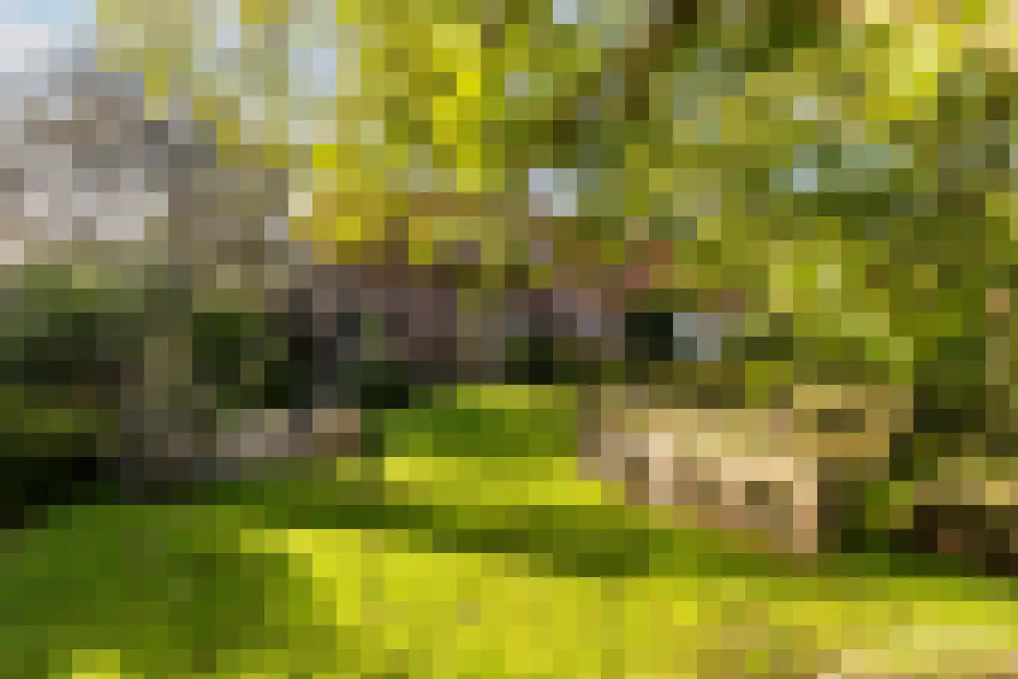 Neereindseweg 13 Oost West en Middelbeers thumbnail 42