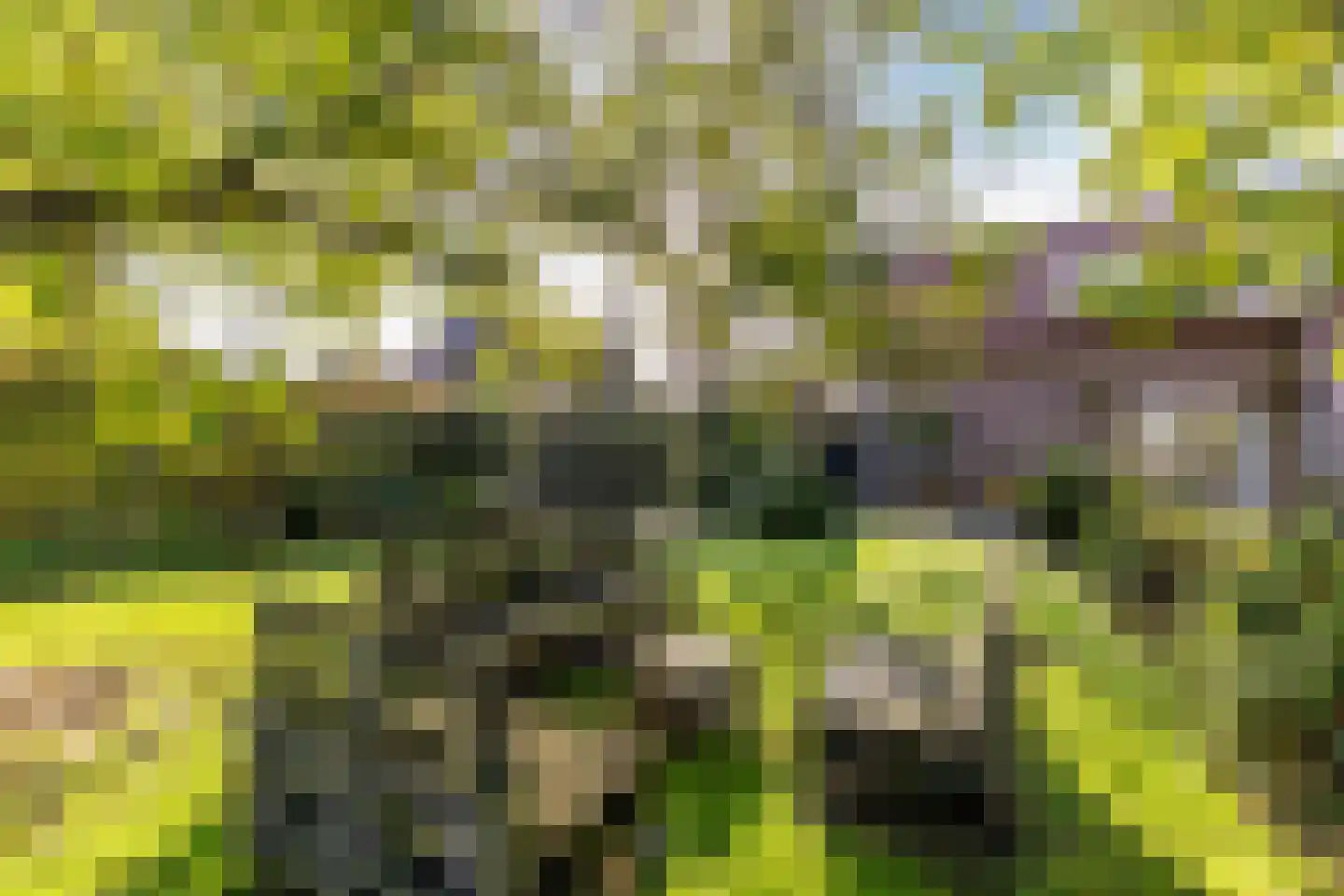 Neereindseweg 13 Oost West en Middelbeers thumbnail 43