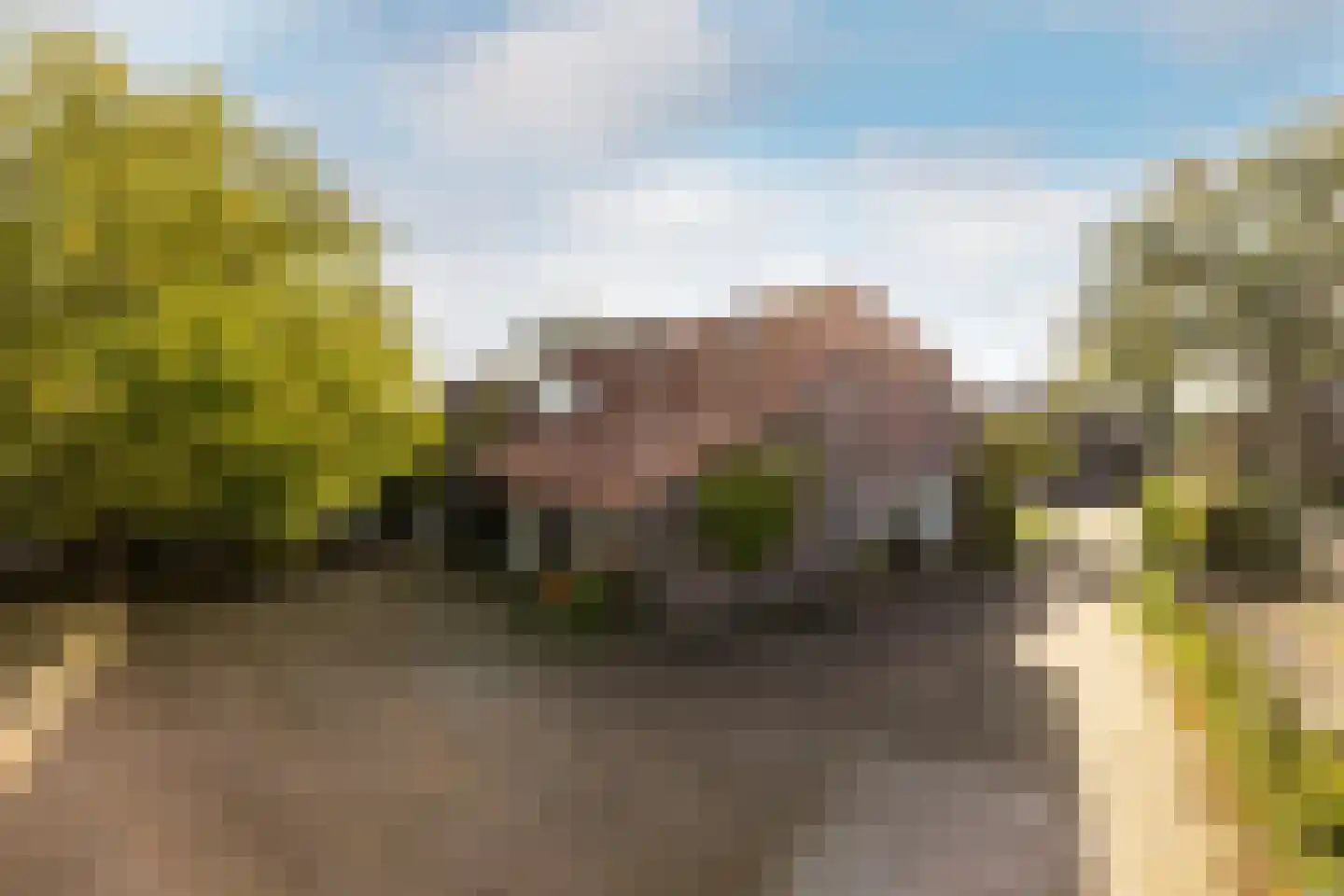 Neereindseweg 13 Oost West en Middelbeers thumbnail 44