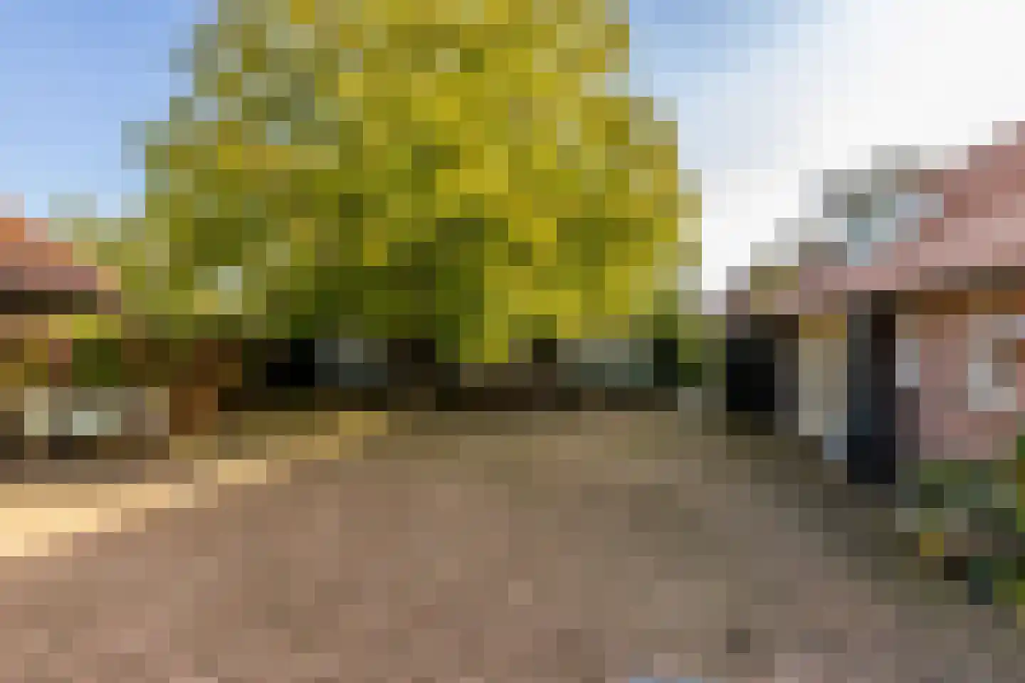 Neereindseweg 13 Oost West en Middelbeers thumbnail 45