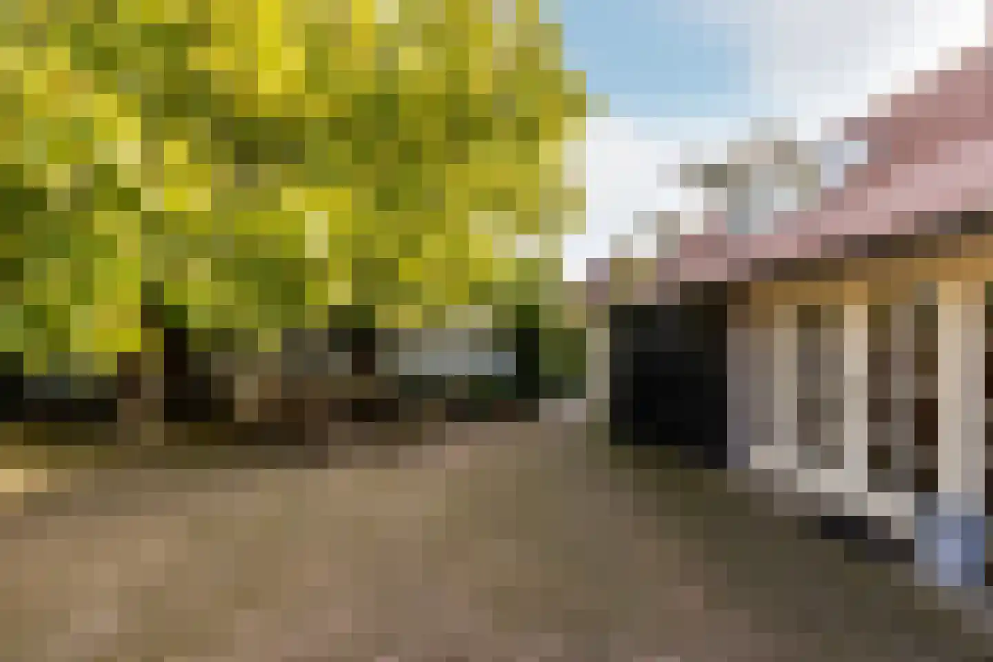 Neereindseweg 13 Oost West en Middelbeers thumbnail 46