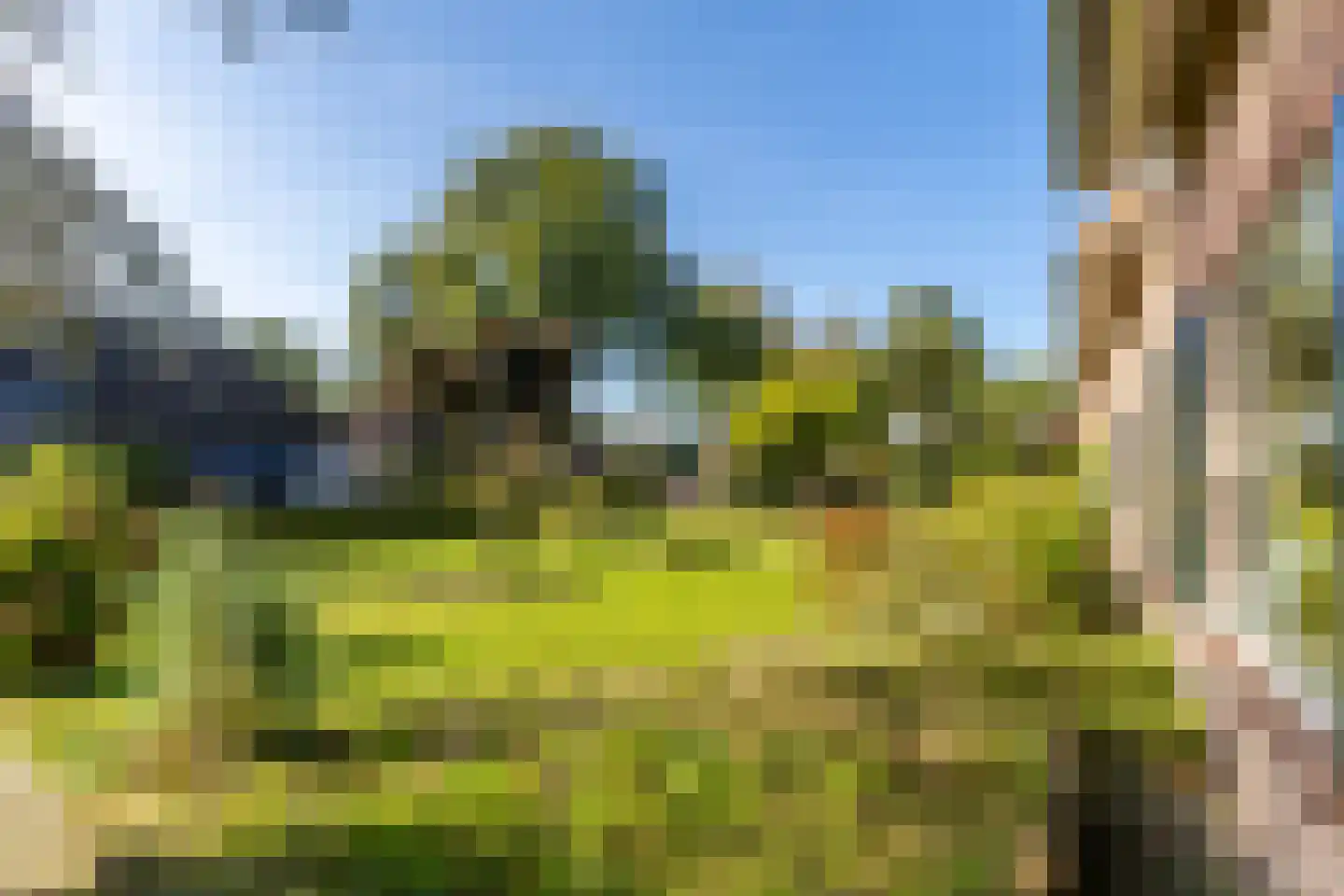 Neereindseweg 13 Oost West en Middelbeers thumbnail 49