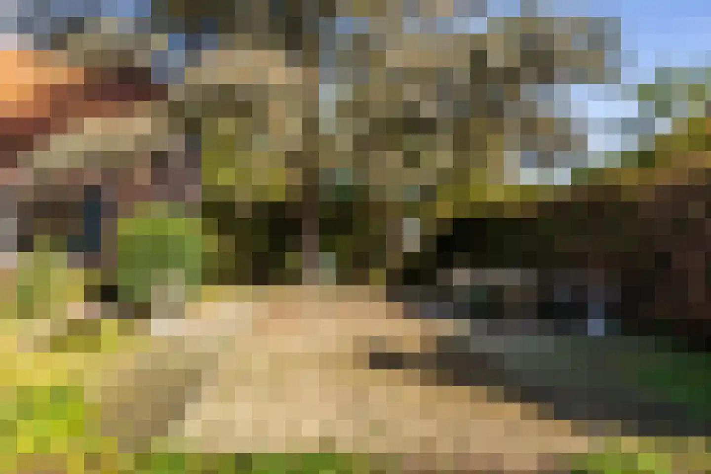 Neereindseweg 13 Oost West en Middelbeers thumbnail 50