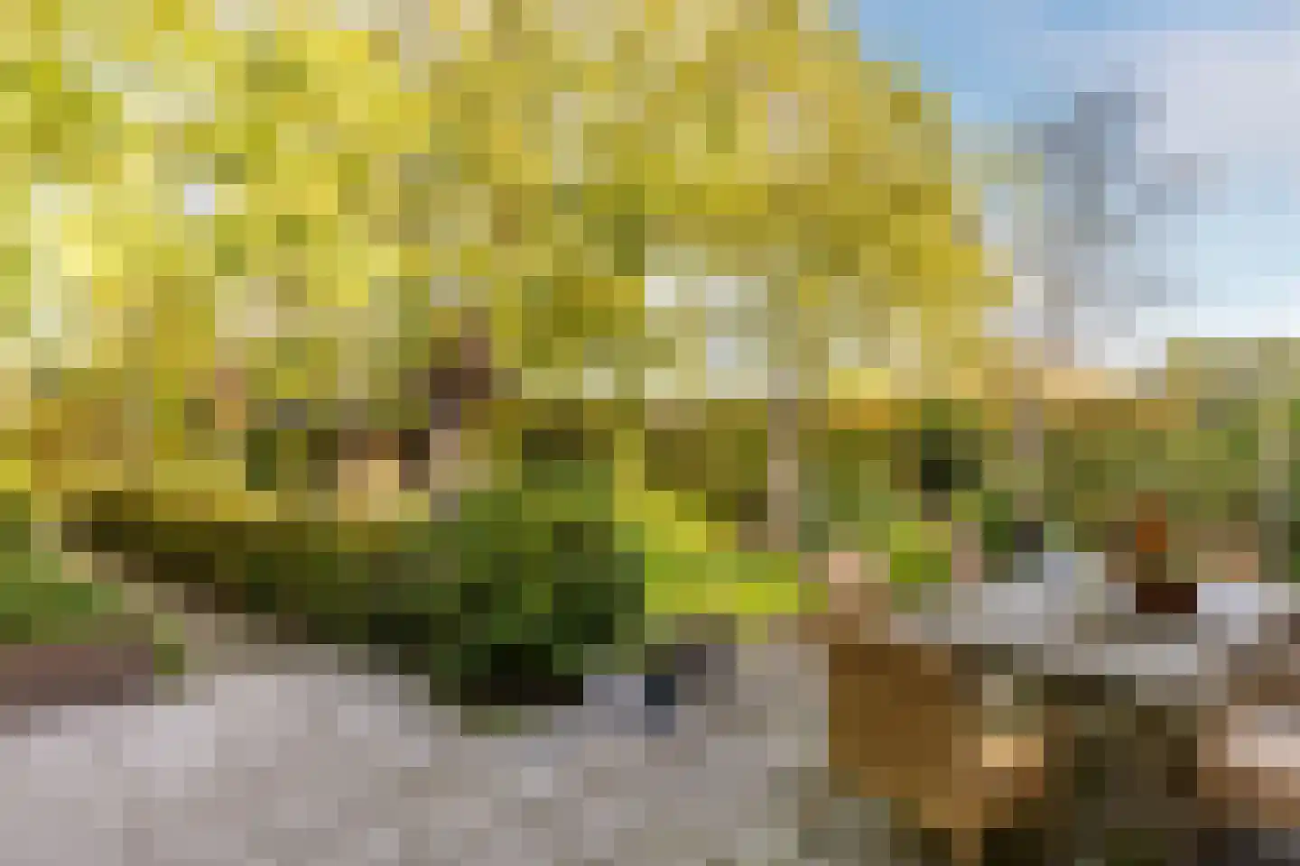 Neereindseweg 13 Oost West en Middelbeers thumbnail 51