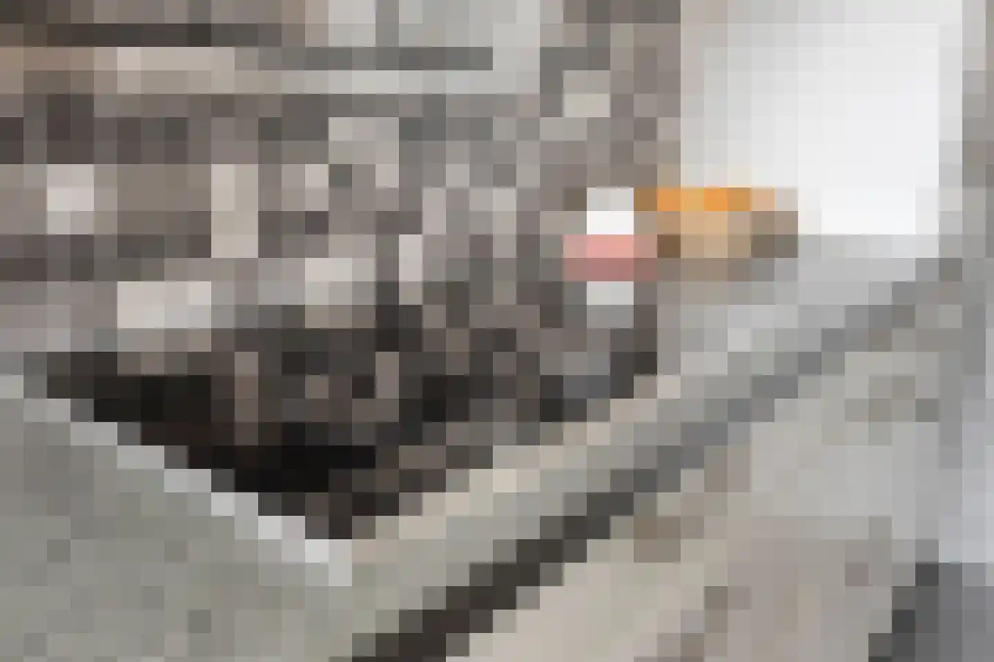 Neereindseweg 33 Oost West en Middelbeers thumbnail 22