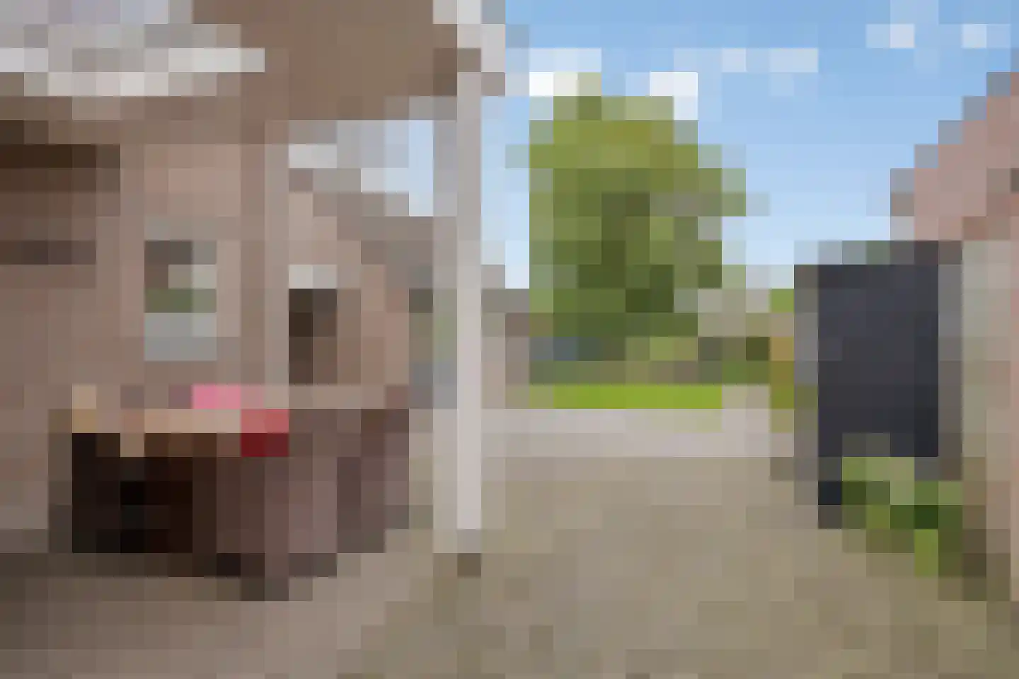 Neereindseweg 33 Oost West en Middelbeers thumbnail 43