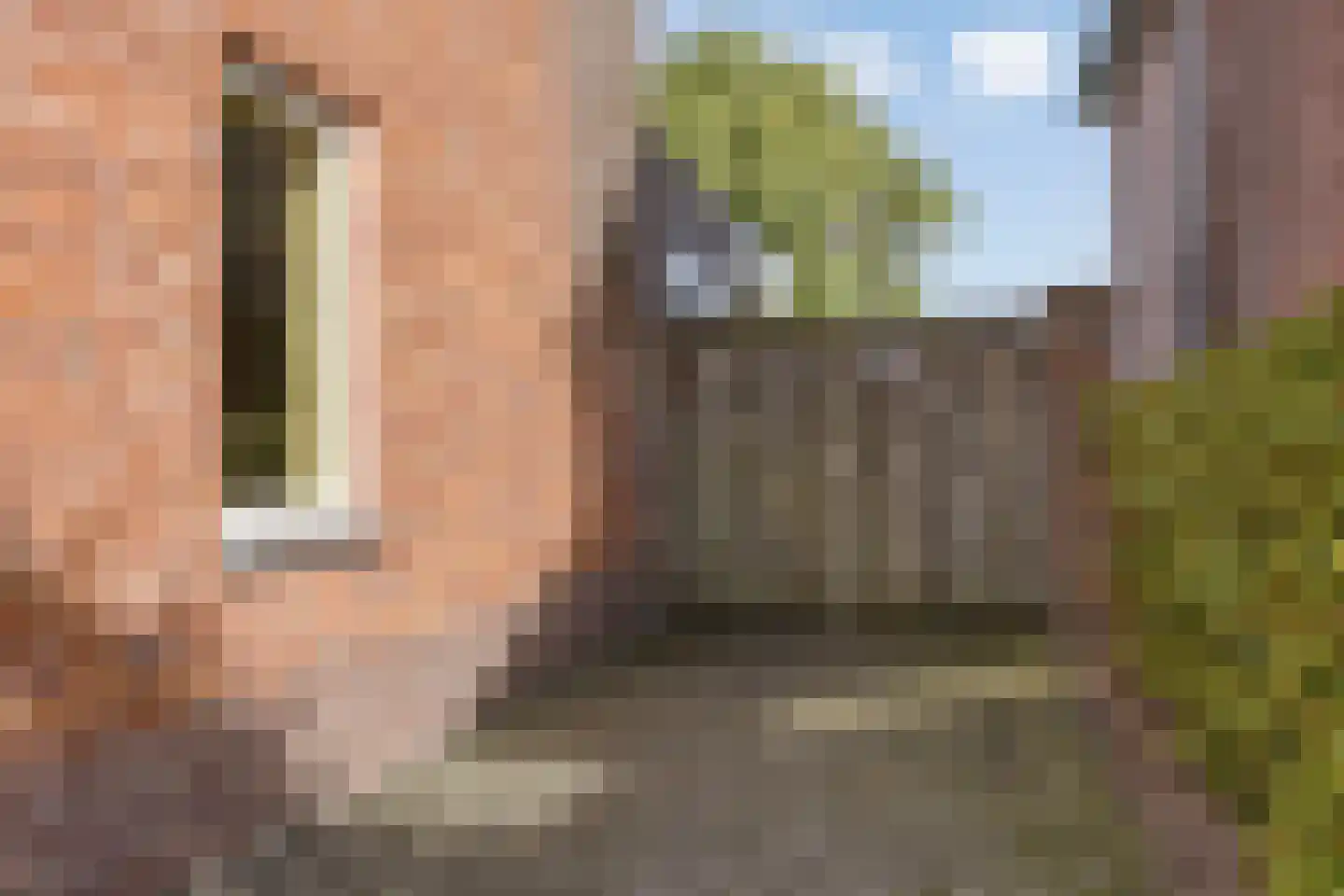 Neereindseweg 33 Oost West en Middelbeers thumbnail 51