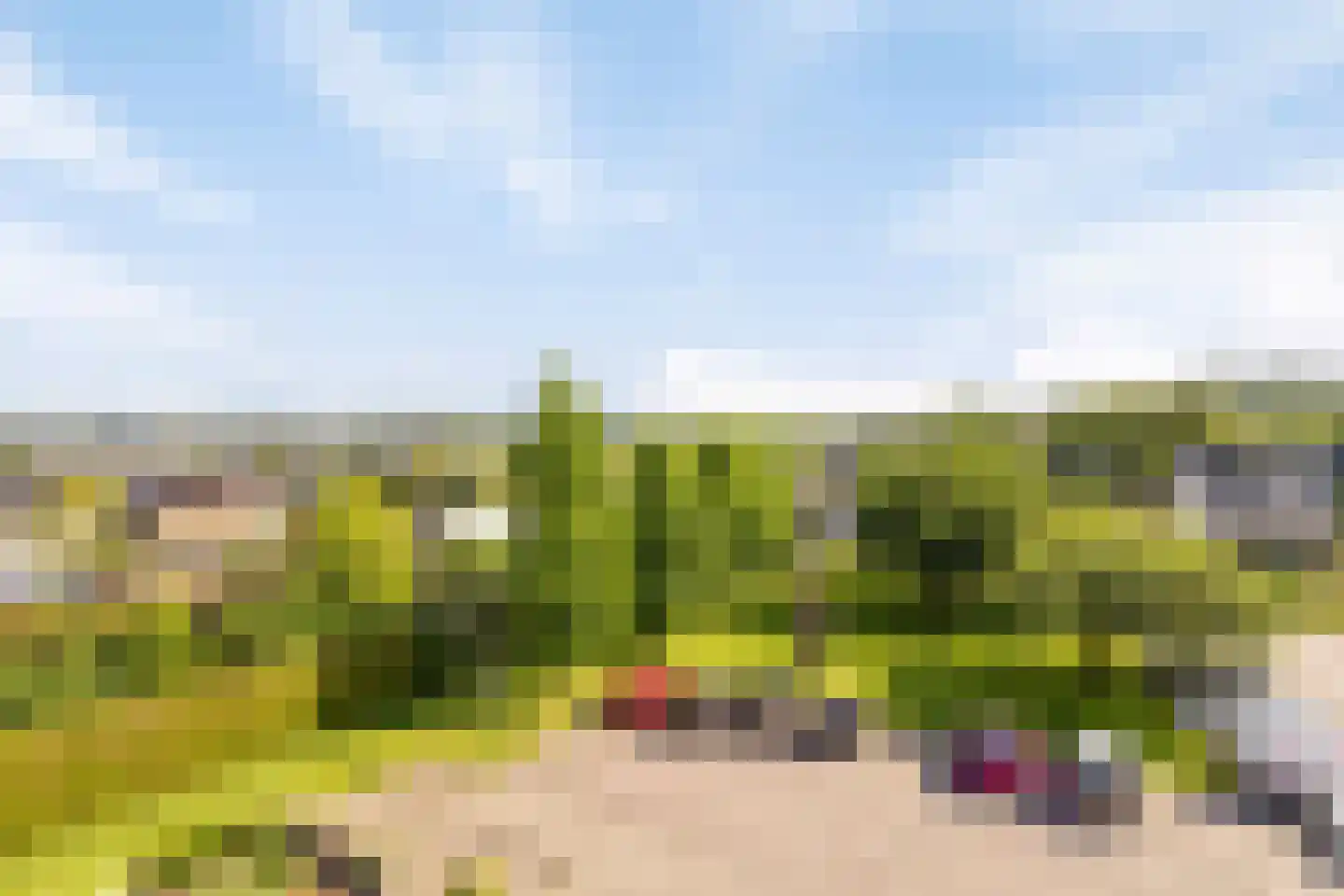 Neerhem 103 Valkenburg thumbnail 24